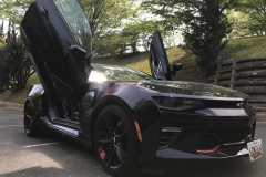 Lambo Doors